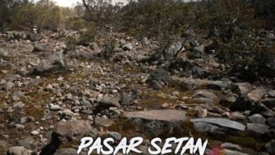 Uji Nyali di Gunung Lawu! Berani Bertransaksi di Pasar Setan?
