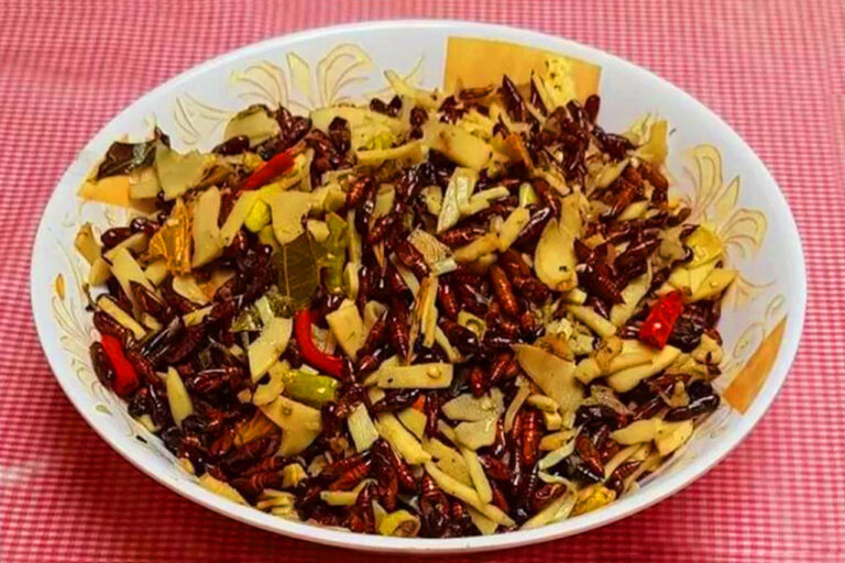 Ungker Jati Kuliner Extreme dari Blora