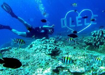 Taman Laut Olele: Surga Bawah Laut Tersembunyi di Gorontalo, Sulawesi