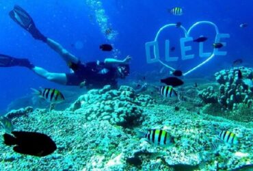 Taman Laut Olele: Surga Bawah Laut Tersembunyi di Gorontalo, Sulawesi