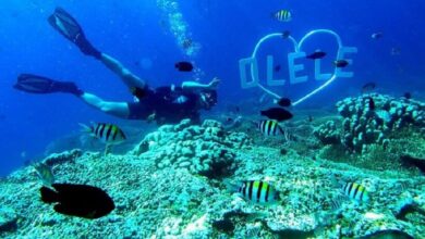 Taman Laut Olele: Surga Bawah Laut Tersembunyi di Gorontalo, Sulawesi