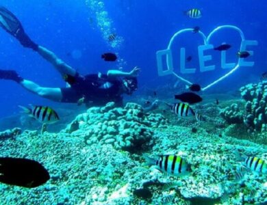 Taman Laut Olele: Surga Bawah Laut Tersembunyi di Gorontalo, Sulawesi