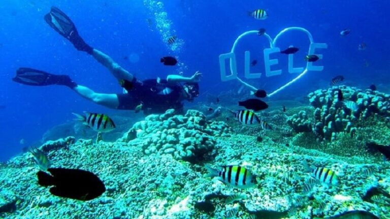 Taman Laut Olele: Surga Bawah Laut Tersembunyi di Gorontalo, Sulawesi