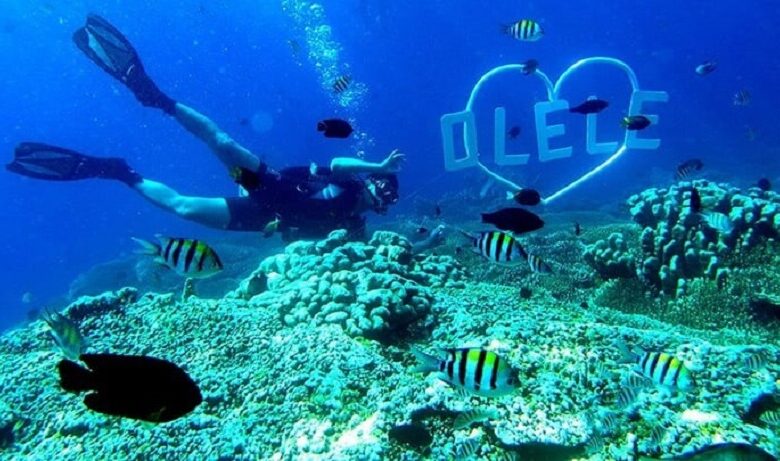 Taman Laut Olele: Surga Bawah Laut Tersembunyi di Gorontalo, Sulawesi