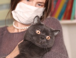 Mitos atau Fakta? Kucing Penyebab Toksoplasma pada Ibu Hamil