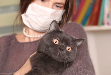 Mitos atau Fakta Kucing Penyebab Toksoplasma pada Ibu Hamil