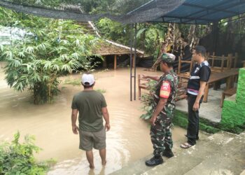 Waspada! Bengawan Solo Siaga Kuning, Pekarangan dan Warung di Cepu Terendam