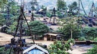 Nomor 5 Bikin Melongo! 6 Destinasi Wisata di Bojonegoro yang Wajib Dikunjungi