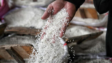 Alhamdulillah Turun Harga Beras di Bojonegoro Jawa Timur Per Minggu Kedua Ramadhan 2024 Turun Jadi Segini