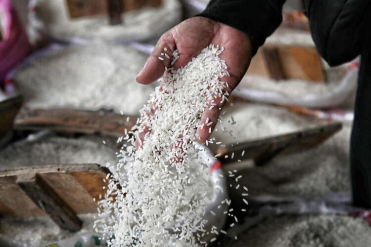 Alhamdulillah Turun Harga Beras di Bojonegoro Jawa Timur Per Minggu Kedua Ramadhan 2024 Turun Jadi Segini