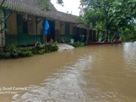 Banjir Bengawan Solo Mulai Surut, 24 Rumah di Desa Jimbung Blora Masih Terendam