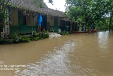 Banjir Bengawan Solo Mulai Surut, 24 Rumah di Desa Jimbung Blora Masih Terendam