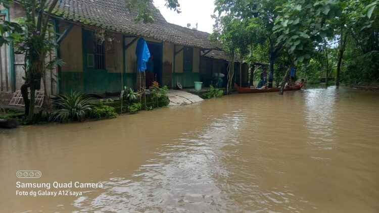 Banjir Bengawan Solo Mulai Surut, 24 Rumah di Desa Jimbung Blora Masih Terendam