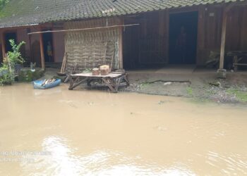Banjir Luapan Bengawan Solo di Blora Mulai Surut, Beberapa Wilayah Masih Terendam