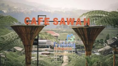 Ngabuburit Asik di Malang, Menikmati Keindahan Alam di Cafe Sawah Desa Wisata Pujon Kidul