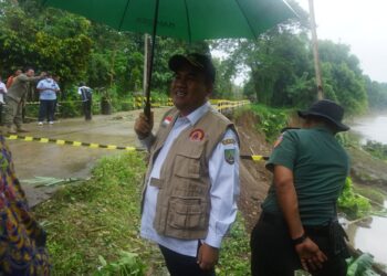 Banjir Bengawan Solo Sebabkan Longsor, Akses Jalan Terputus, Bupati Blora Minta Bantuan BBWS
