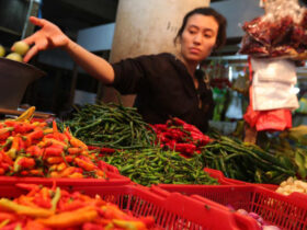 Harga Beras Cabe dan Telur di Wilayah Blora Jawa Tengah Selama Ramadhan 2024