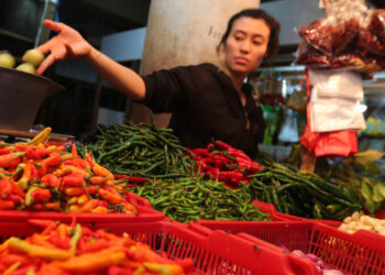 Harga Beras Cabe dan Telur di Wilayah Blora Jawa Tengah Selama Ramadhan 2024