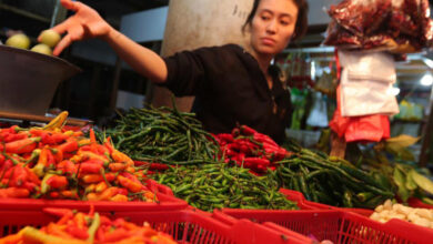 Harga Beras Cabe dan Telur di Wilayah Blora Jawa Tengah Selama Ramadhan 2024