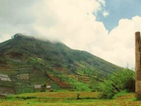 Tragedi Desa Legetang, Hilang Dalam Semalam di Pegunungan Dieng