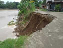 Tebing Sungai Bengawan Solo di Desa Panolan Blora Longsor, Jalan Putus, 4 Rumah Warga Terancam