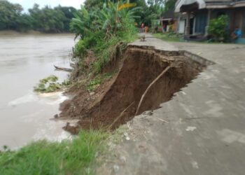 Tebing Sungai Bengawan Solo di Desa Panolan Blora Longsor, Jalan Putus, 4 Rumah Warga Terancam