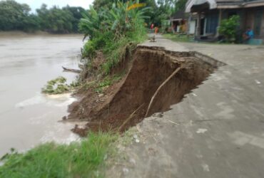 Tebing Sungai Bengawan Solo di Desa Panolan Blora Longsor, Jalan Putus, 4 Rumah Warga Terancam