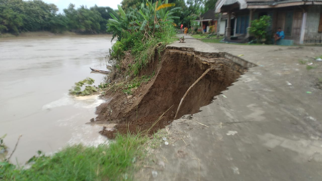 Tebing Sungai Bengawan Solo di Desa Panolan Blora Longsor, Jalan Putus, 4 Rumah Warga Terancam