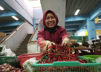Ramadhan 2024 Harga Cabai di Bojonegoro Jawa Timur Turun Drastis Hingga Rp6000an Per Kilo