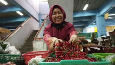 Ramadhan 2024 Harga Cabai di Bojonegoro Jawa Timur Turun Drastis Hingga Rp6000an Per Kilo