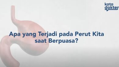 Mitos dan Fakta? Puasa Bermanfaat untuk Sistem Pencernaan, Ini Kata Dokter!