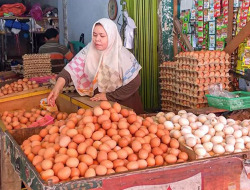 Sekilo Rp30 Ribuan! Harga Telur di Wilayah Blora Jawa Tengah Naik Selama Ramadhan 1445 Hijriah