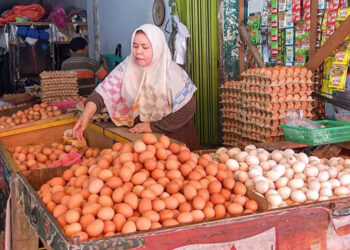 Sekilo Rp30 Ribuan Harga Telur di Wilayah Blora Jawa Tengah Naik Selama Ramadhan 1445 Hijriah