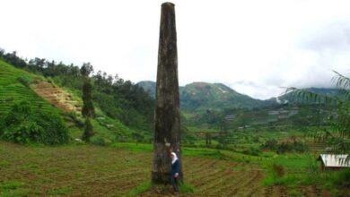 Melacak Jejak Dusun Legetang, 6 Fakta Mengejutkan di Balik Bencana Pegunungan Dieng