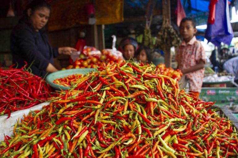 Turun Harga Cabai Hari Ini Per 17 Maret 2024 di Wilayah Blora Jawa Tengah