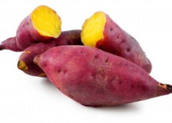 Bye-bye Skincare Mahal! Ubi Jalar, Gak Cuma Buat Kenyang Tapi Bisa Bikin Cantik!