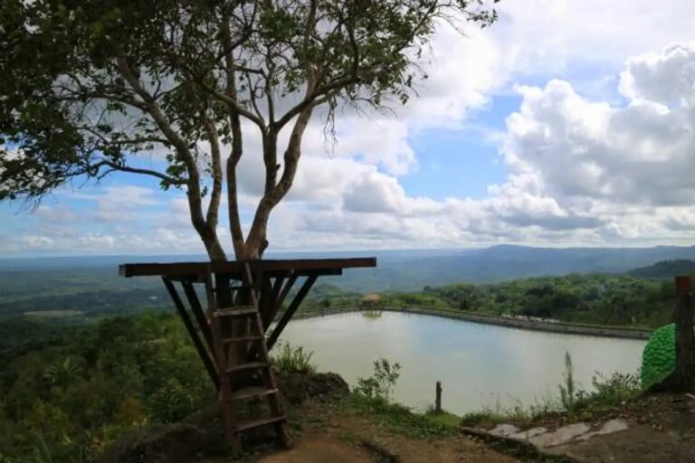 Embung Nglanggeran, Keindahan Alam di Atas Bukit Yogyakarta