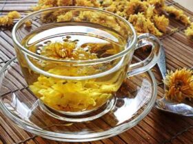 ## Manfaat Bunga Krisan (Chrysanthemum) yang Menakjubkan **Bunga krisan** (Chrysanthemum) bukan hanya cantik, tetapi juga kaya manfaat untuk kesehatan. Bunga berwarna kuning ini diolah menjadi **teh bunga krisan** yang berkhasiat untuk berbagai penyakit. **Kandungan Nutrisi Teh Bunga Krisan:** * Kalsium (29 mg) * Magnesium (8 mg) * Kalium (142 mg) * Vitamin A (580 IU) * Vitamin K (88 mikrogram) **Manfaat Teh Bunga Krisan:** 1. **Mengontrol Gula Darah:** Kandungan antioksidan, vitamin, dan serat dalam teh bunga krisan membantu mengontrol kadar gula darah dan mencegah diabetes tipe 2. 2. **Menjaga Kesehatan Jantung:** Kandungan kalium dalam teh bunga krisan menjaga kesehatan jantung dan tekanan darah. Antioksidannya melindungi tubuh dari stres oksidatif, sehingga risiko penyakit jantung berkurang. 3. **Mencegah Kanker Perut:** Riset menunjukkan bahwa teh bunga krisan berpotensi mengobati kanker lambung. Kombinasi bunga krisan, panax pseudoginseng, dan licorice dapat mencegah tukak lambung menjadi kanker. 4. **Meringankan Sakit Tenggorokan:** Kandungan antibakteri dan antiradang dalam teh bunga krisan membantu meredakan infeksi dan peradangan pada tenggorokan. 5. **Mengobati Osteoporosis:** Kandungan kalsium dalam teh bunga krisan membantu menjaga kekuatan tulang, mencegah tulang keropos, dan mengobati osteoporosis. **Penelitian lebih lanjut** diperlukan untuk memastikan efektivitas dan keamanan teh bunga krisan sebagai obat herbal. **Cara Menikmati Teh Bunga Krisan:** * Seduh bunga krisan kering dengan air panas. * Nikmati teh hangat atau dingin. **Bunga krisan** merupakan pilihan minuman yang menyehatkan dan lezat. Rasakan manfaatnya untuk kesehatan Anda!