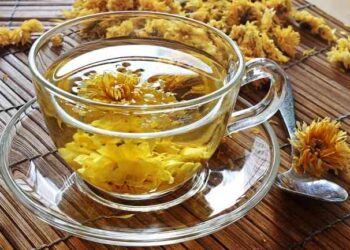 ## Manfaat Bunga Krisan (Chrysanthemum) yang Menakjubkan **Bunga krisan** (Chrysanthemum) bukan hanya cantik, tetapi juga kaya manfaat untuk kesehatan. Bunga berwarna kuning ini diolah menjadi **teh bunga krisan** yang berkhasiat untuk berbagai penyakit. **Kandungan Nutrisi Teh Bunga Krisan:** * Kalsium (29 mg) * Magnesium (8 mg) * Kalium (142 mg) * Vitamin A (580 IU) * Vitamin K (88 mikrogram) **Manfaat Teh Bunga Krisan:** 1. **Mengontrol Gula Darah:** Kandungan antioksidan, vitamin, dan serat dalam teh bunga krisan membantu mengontrol kadar gula darah dan mencegah diabetes tipe 2. 2. **Menjaga Kesehatan Jantung:** Kandungan kalium dalam teh bunga krisan menjaga kesehatan jantung dan tekanan darah. Antioksidannya melindungi tubuh dari stres oksidatif, sehingga risiko penyakit jantung berkurang. 3. **Mencegah Kanker Perut:** Riset menunjukkan bahwa teh bunga krisan berpotensi mengobati kanker lambung. Kombinasi bunga krisan, panax pseudoginseng, dan licorice dapat mencegah tukak lambung menjadi kanker. 4. **Meringankan Sakit Tenggorokan:** Kandungan antibakteri dan antiradang dalam teh bunga krisan membantu meredakan infeksi dan peradangan pada tenggorokan. 5. **Mengobati Osteoporosis:** Kandungan kalsium dalam teh bunga krisan membantu menjaga kekuatan tulang, mencegah tulang keropos, dan mengobati osteoporosis. **Penelitian lebih lanjut** diperlukan untuk memastikan efektivitas dan keamanan teh bunga krisan sebagai obat herbal. **Cara Menikmati Teh Bunga Krisan:** * Seduh bunga krisan kering dengan air panas. * Nikmati teh hangat atau dingin. **Bunga krisan** merupakan pilihan minuman yang menyehatkan dan lezat. Rasakan manfaatnya untuk kesehatan Anda!