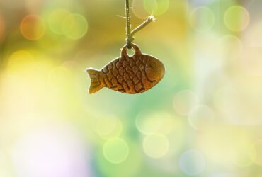 Mengenal Kepribadian Zodiak Pisces, Si Penyayang dan Penuh Imajinasi