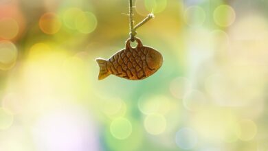 Mengenal Kepribadian Zodiak Pisces, Si Penyayang dan Penuh Imajinasi