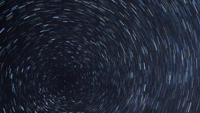 Panduan Lengkap Ramalan Zodiak Selasa 2 April 2024