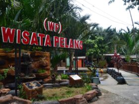 Daya Tarik Wisata Pelang dan Kebun Sagu di Tuban yang Instagramable