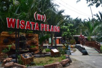 Daya Tarik Wisata Pelang dan Kebun Sagu di Tuban yang Instagramable