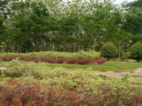 Menjelajahi Keindahan dan Keunikan Taman Bukit Daun Tuban, Bekas Luka Alam yang Disulap Menjadi Destinasi Wisata Menakjubkan
