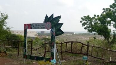 Taman Bukit Daun, Oase Hijau Bekas Tambang di Tuban