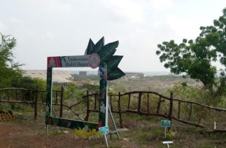 Taman Bukit Daun, Oase Hijau Bekas Tambang di Tuban