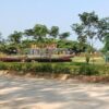 Merasakan Sensasi Liburan Berbeda di Taman Bukit Daun Tuban: Perpaduan Alam Asri, Sejarah, dan Edukasi Lingkungan