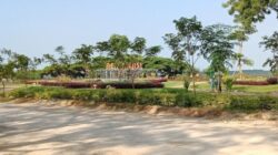 Merasakan Sensasi Liburan Berbeda di Taman Bukit Daun Tuban: Perpaduan Alam Asri, Sejarah, dan Edukasi Lingkungan