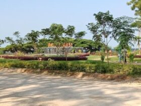 Merasakan Sensasi Liburan Berbeda di Taman Bukit Daun Tuban: Perpaduan Alam Asri, Sejarah, dan Edukasi Lingkungan